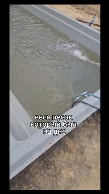 Запуск бассейна на Diatol. Смотрим результат