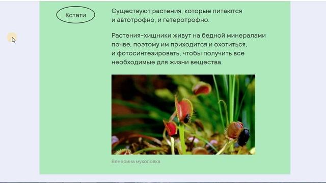 10 Основы классификации живых организмов