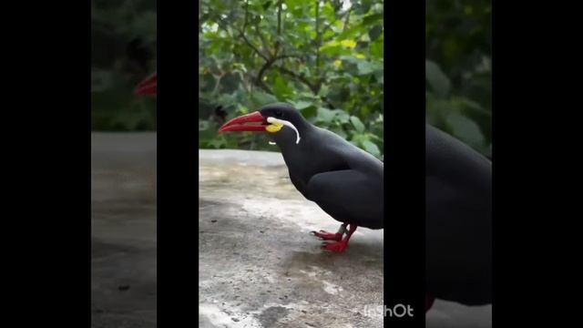 VID_20250613_142359_009.mp4