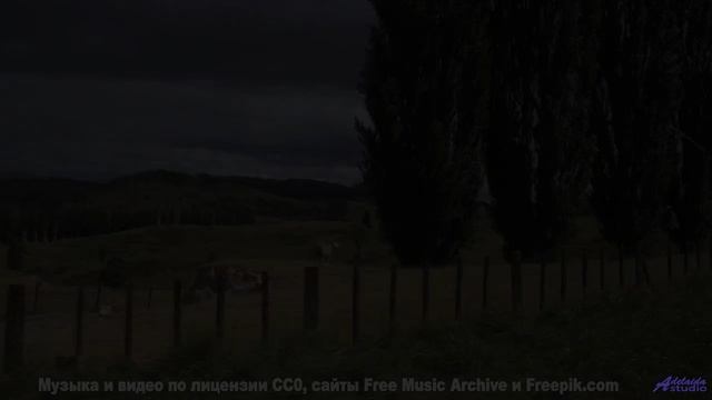 Эта композиция лечит болезни - фантастика становится реальностью! - j-aime la musique -- Jean Toba -