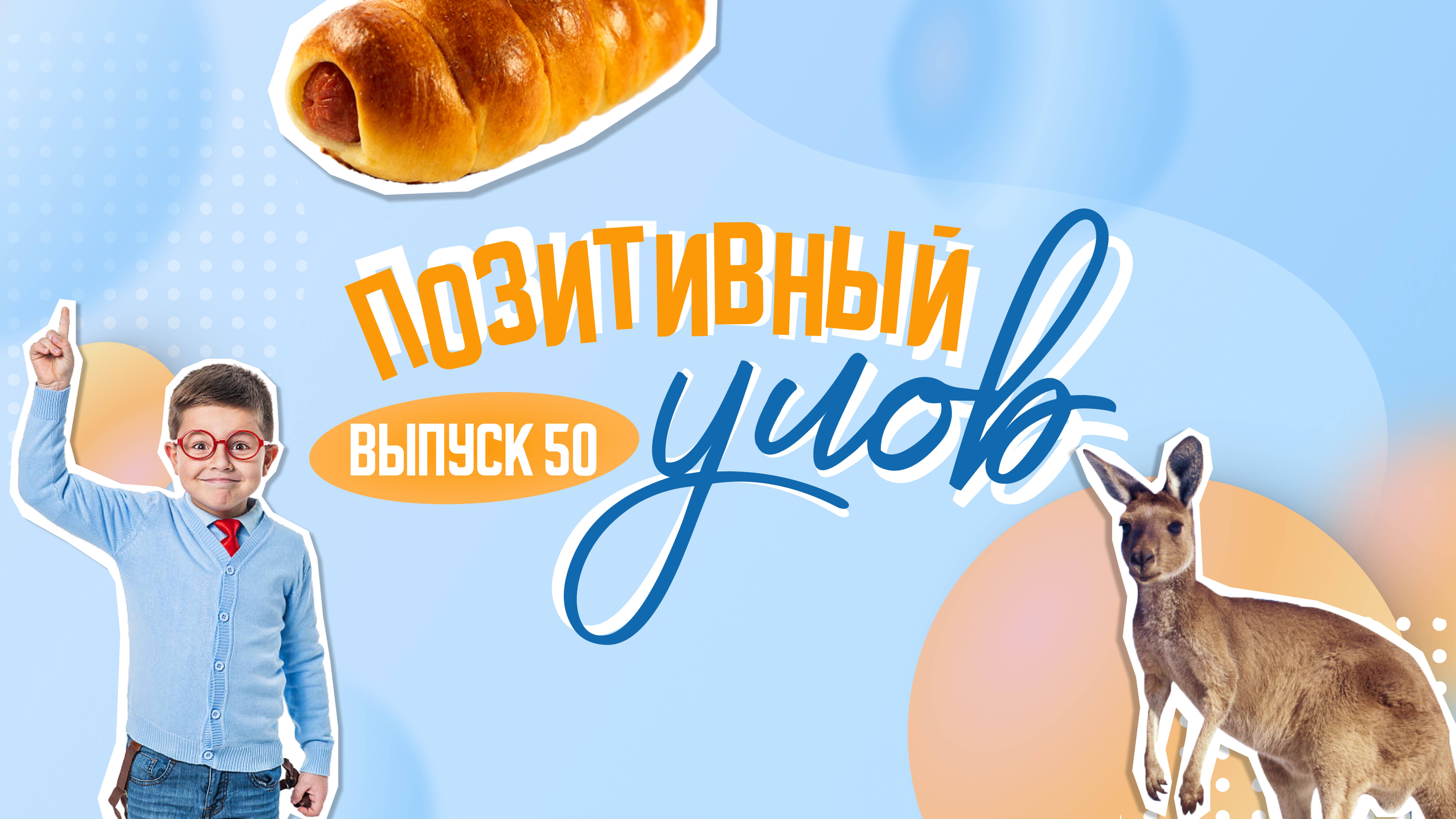 Акулы с неба и ручная каракатица. "Позитивный улов"
