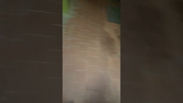 1000001241.mp4