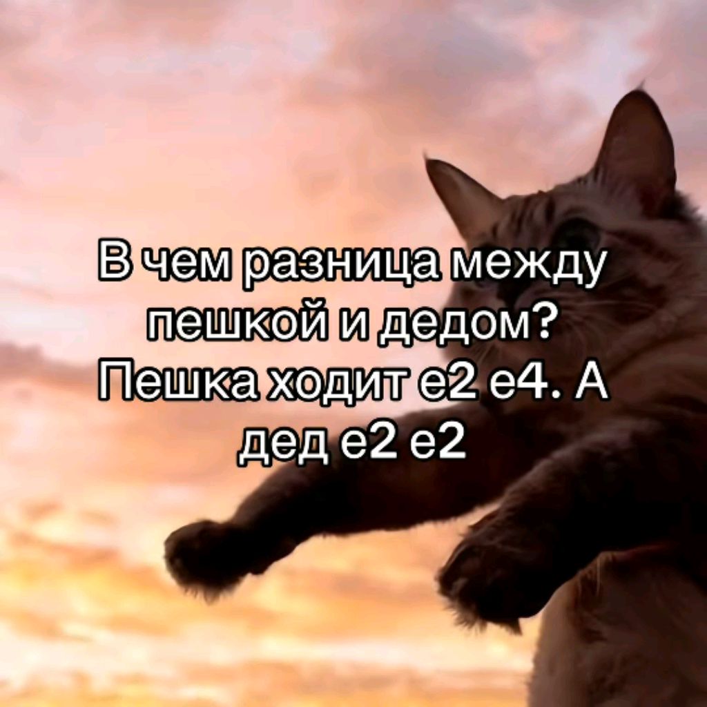 Общение, рассуждение, обострение