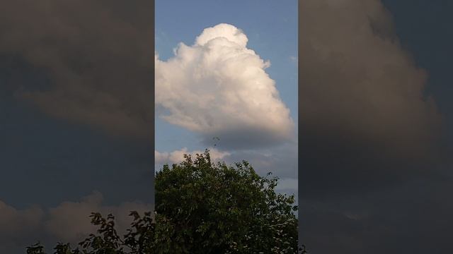 1000032856.mp4