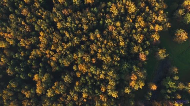 Эта музыка звучит так, будто её создал искусственный интеллект будущего! - Annalise -- Derek Clegg -