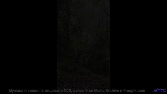 Ты не поймешь, что такое настоящая красота, пока не увидишь это! - Strawberries -- Brock Tyler -- Us