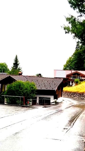 Моменты, запечатленные на камеру