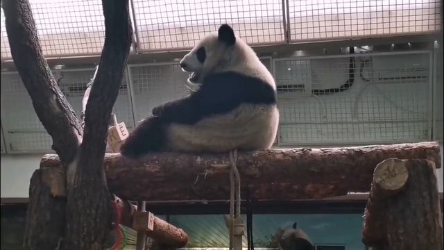 🐼 Катюша проводит выходные в компании любимого зеленого перекуса.

Берём пример и отдыхаем.