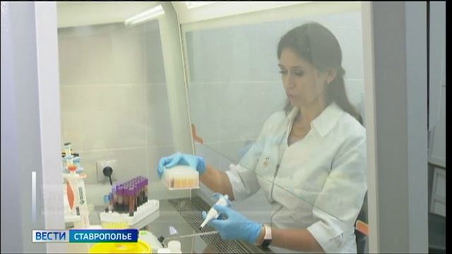 Ставропольские ученые добились серьезного прорыва в изучении генетики овец