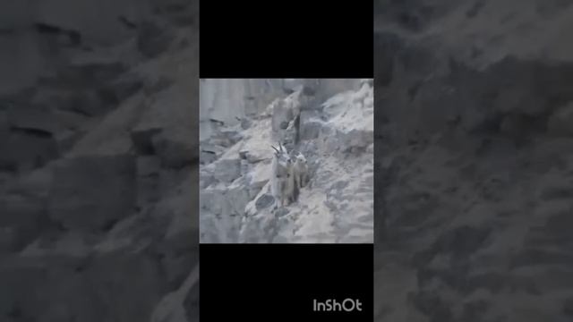 VID_20250613_142447_547.mp4