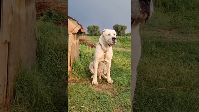 1000237477.mp4