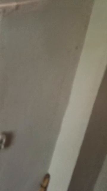video_2025-06-13_12-05-01