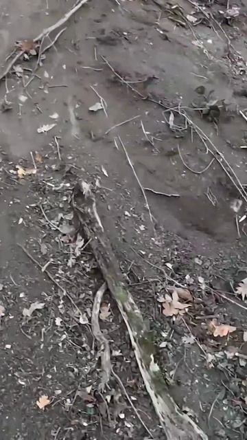 Ледяное пихалово от квадро 93