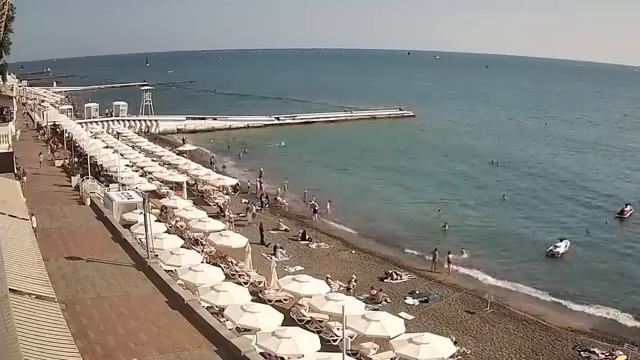 Вот и все... Началась истерика.. Потребовали немедленно разрешить