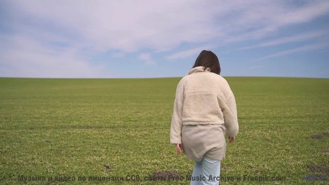 Эти пейзажи и музыка выносят мозг моментально - Conditional -- Tadz -- Soul Symphonies Vol.1