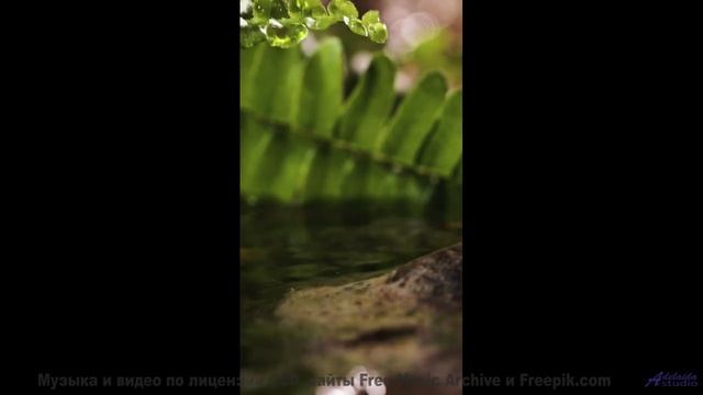 Пейзажи качают сердце, как волны качают море - Undying Love For Humanity -- Laetitia Sadier Source E