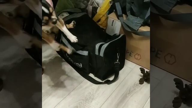 1000009675.mp4
