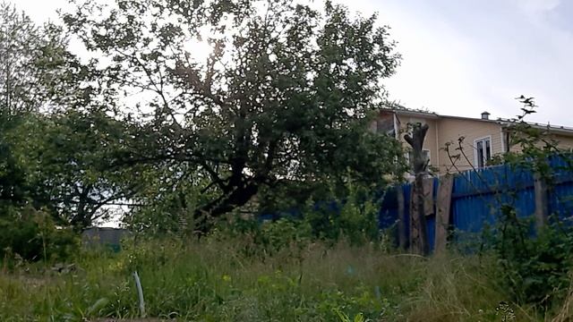 🏡 "Дачный сезон" Часть 4.Свекла🌰,морковь.🥕Салатный л