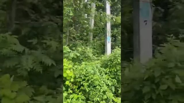 Участок, 8,89сот. Агалатово