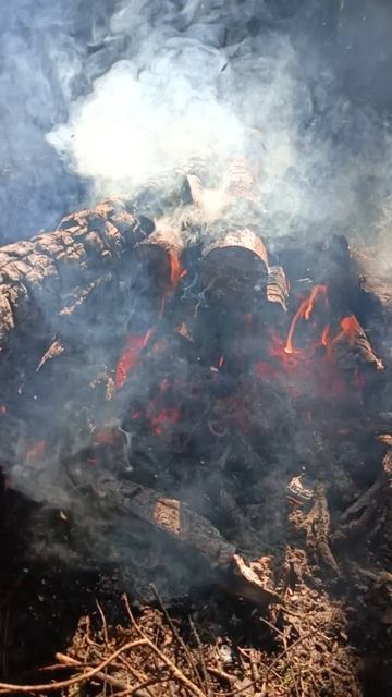 Дым костра создает уют