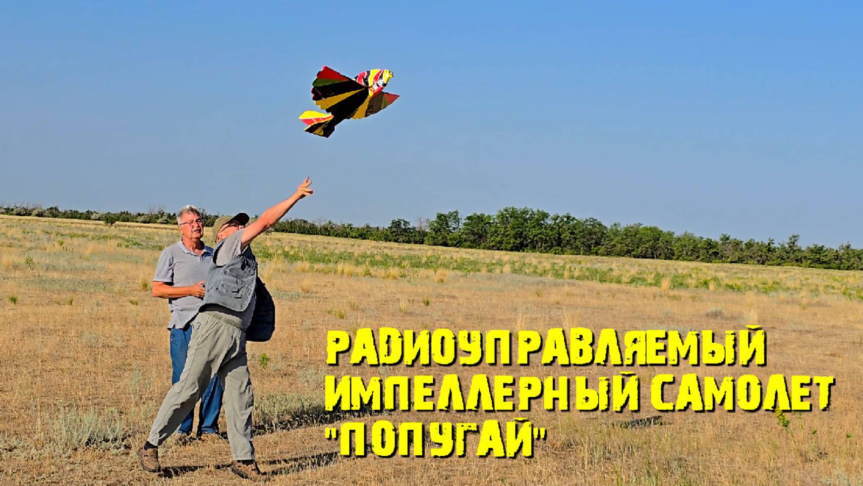 Радиоуправляемый импеллерный самолет "Попугай"