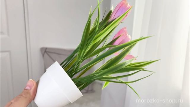 Искусственный цветок в горшке КРАСКИ ВЕСНЫ: ТЮЛЬПАН, 21 см, 317355000-1