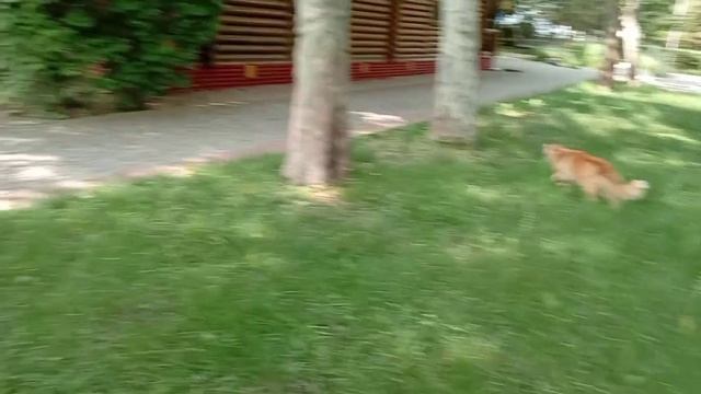 Полтава-Крым 2025