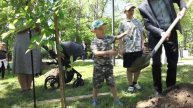 (11.06.2025) Саженцы черемухи посадили в Комсомольске в ходе краевой акции «Подари ребёнку дерево»