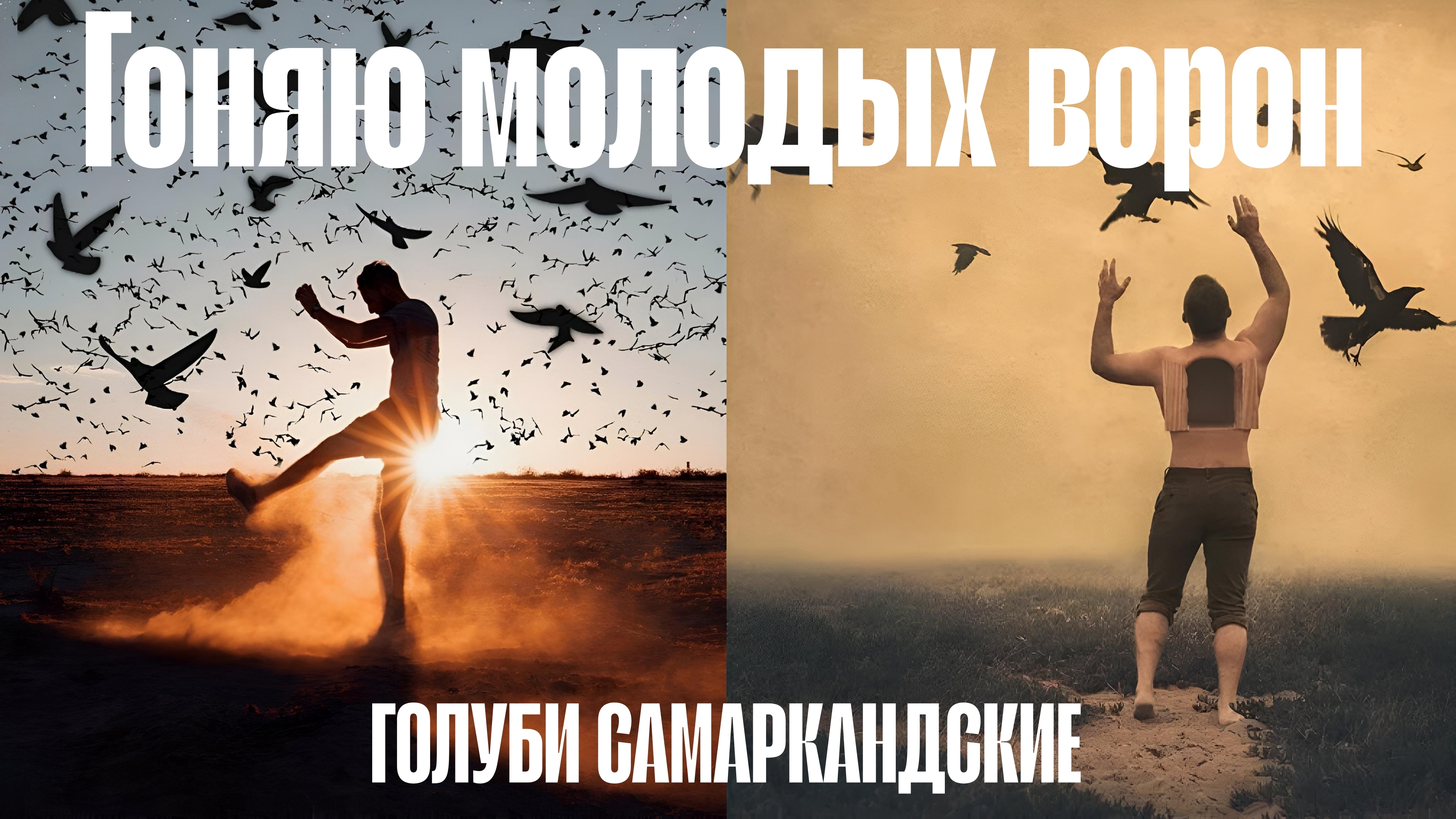 Поднял молодёжь, средний результат! Для начала пойдет! Голуби Самаркандские в Тверской области.