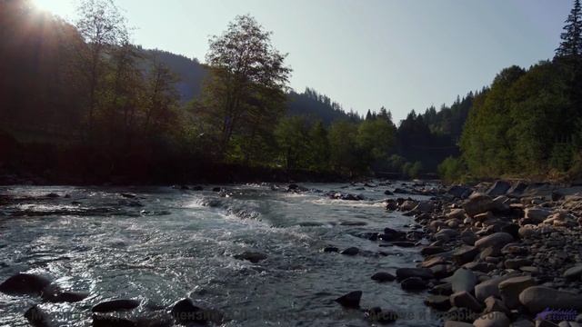 Кадры, снятые через призму сингулярности - увидите то, что нельзя увидеть! - Hurry Ellie -- Taylor P
