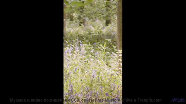 Мелодия делает горизонты ближе, чем когда-либо - Song 4 -- G. H. Everetts -- looks at mountains