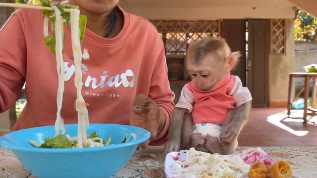 Обезьянка КРОШКА ест впервые МАКАРОШКИ руками без ВИЛКИ и ЛОЖКИ Забавная история