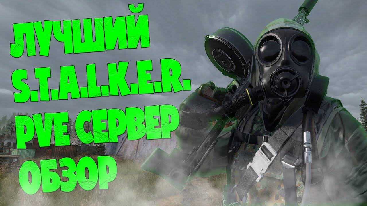 DAYZ - ОБЗОР PVE СЕРВЕРА В 2025