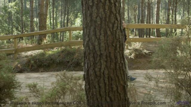 Погружение в природу становится полным благодаря мелодии - Mushrooms -- Ketsa -- The Calling