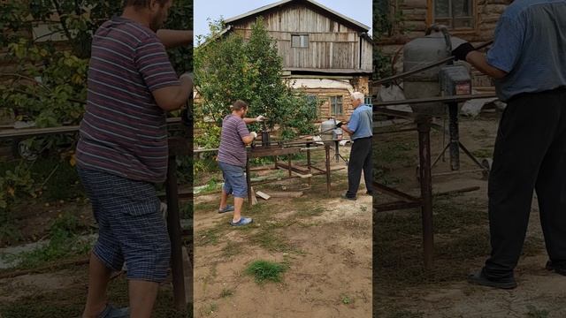 теплица