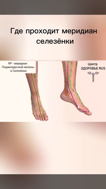 🌍 Стихия ЗЕМЛЯ и диагностика органов с #AkuScan