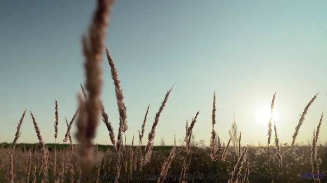 Никогда не видел таких полей под такой саунд - Twilight -- Ketsa -- The Lost Files