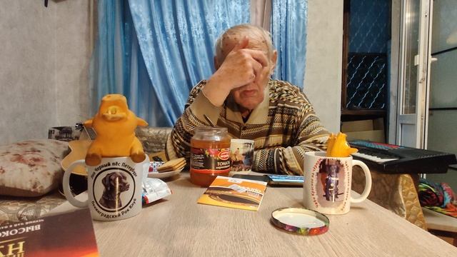 День России 🇷🇺 Владимир Владимирович Турбин @ Доцент и Чибо @ Моя Жизнь Кино @ Музей Псов
