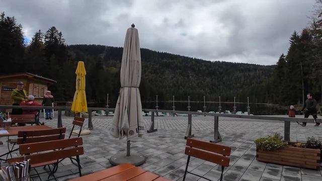 Баварский лес - красота в каждом повороте