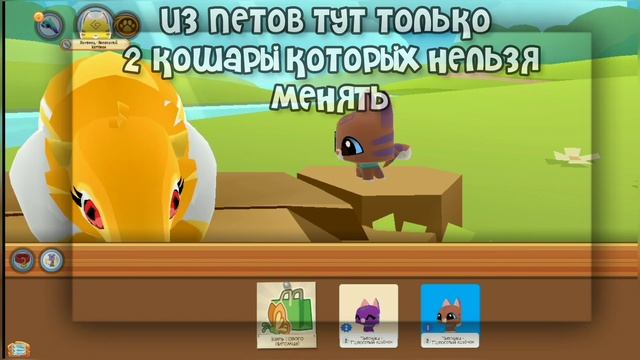 [ЧИТ.ОПИС] ЛОТЕРЕЯ на АККАУНТ на 50 подписчиков | Animal Jam Pl