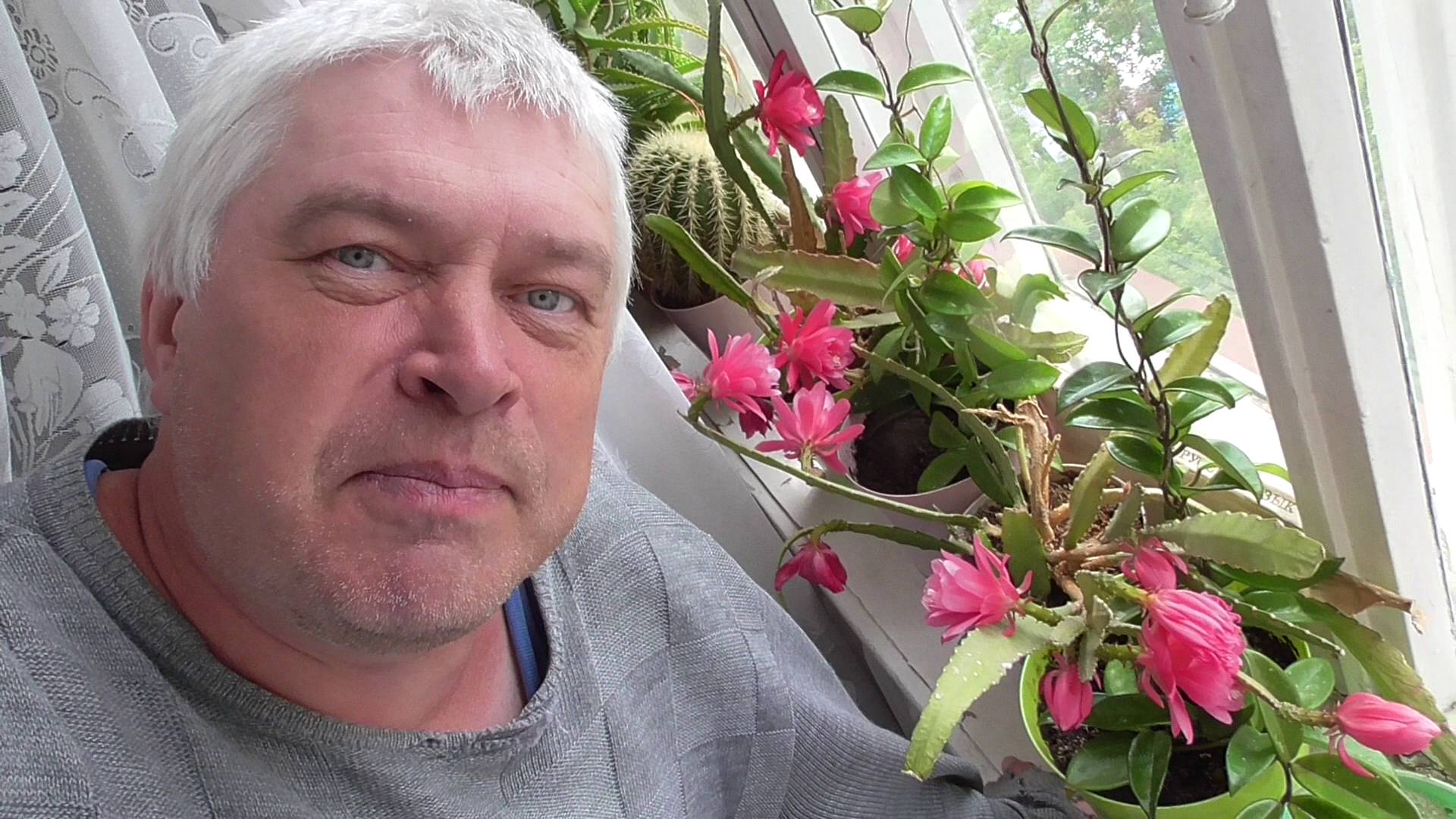 Сегодня 13 июня, розовые цветы на кактусе