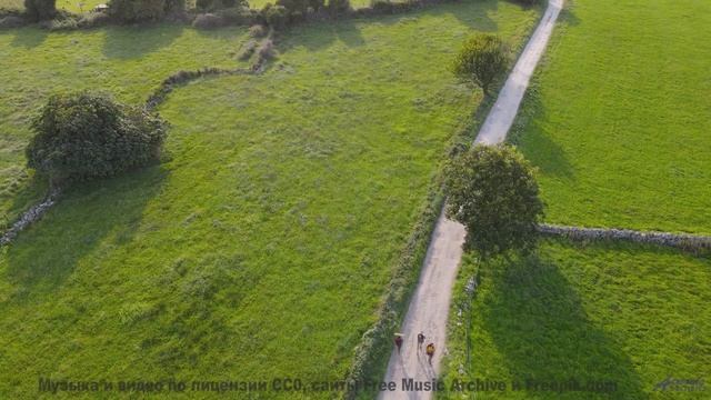 Этот клип уничтожит стресс и вернёт вкус к жизни - Back To The Eighties Throwback Instrumental - Ade