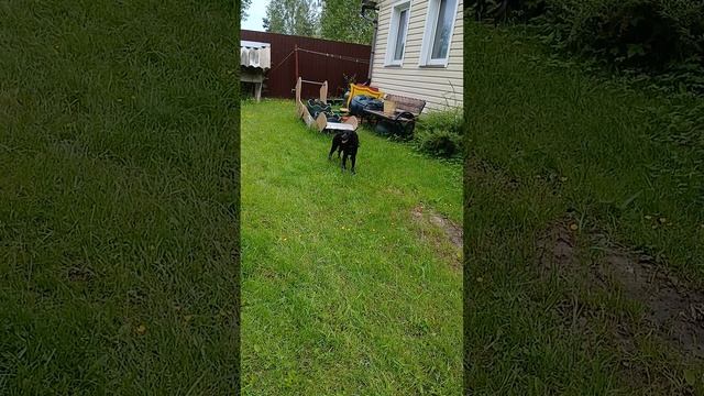 1000001478.mp4