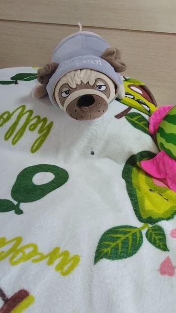 мопсик21