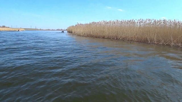 Охота на СУДАКА / Калининградский залив