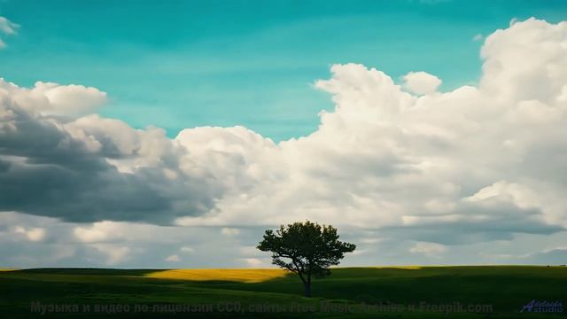 Природа звучит как никогда честно под этот саунд - Believe In Me (I Got Dis - I Got Us) -- Tadz -- S