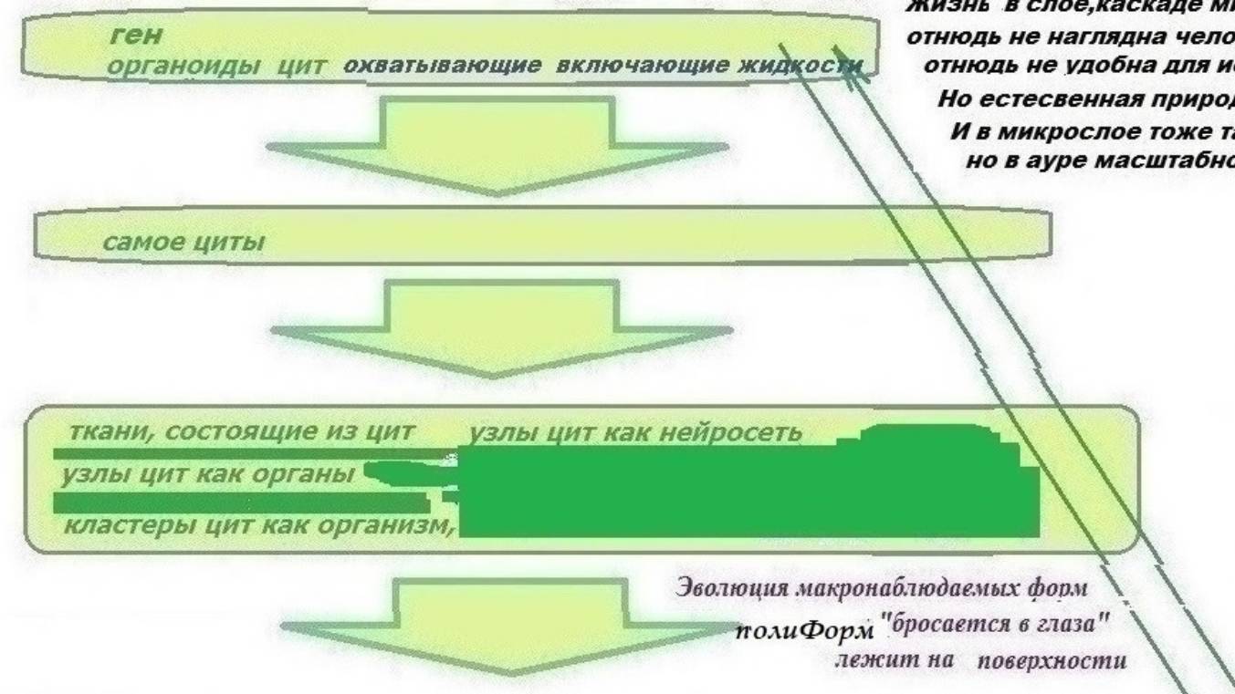 3-1+++ Единицы жизни   взамен  кошки собаки  верблюда и марковских ежей.  Нуклеотиды нейроциты