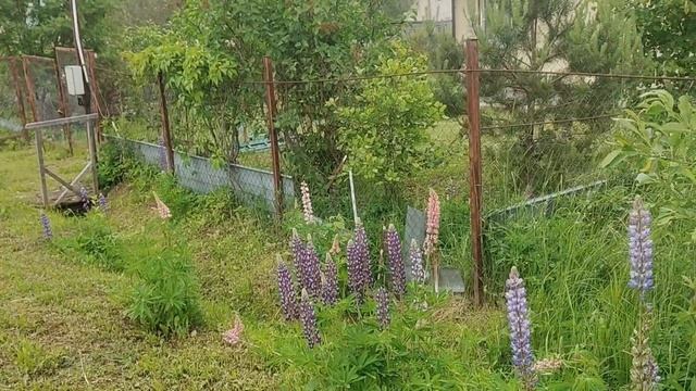 Дождливая болталка! И в Тай пока не тянет!