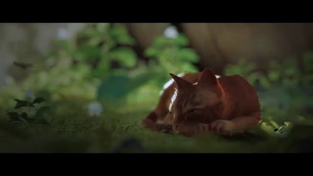Stray - прохождение игры на русском языке #1