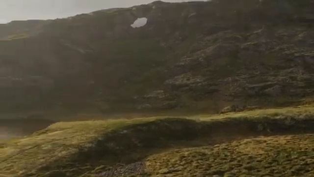 Путешествие к центру аномалий. Часть 2 . "Гости"